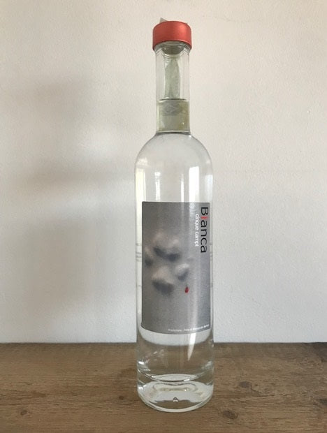 CINQUE CAMPI Bianca, grappa di Spergola